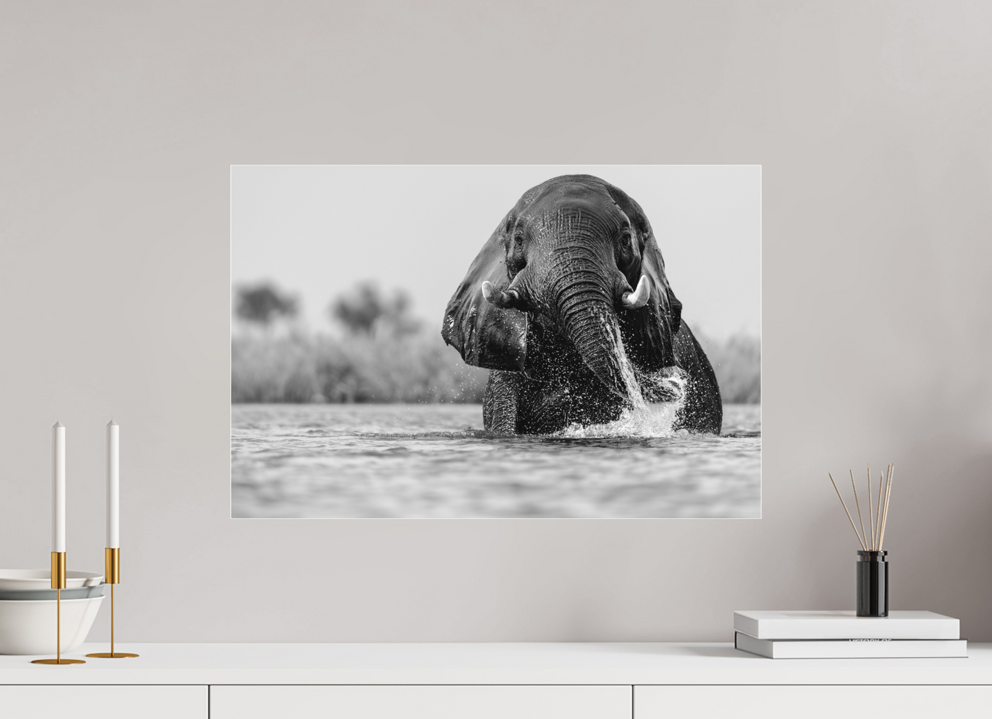 Giant Of The Chobe
