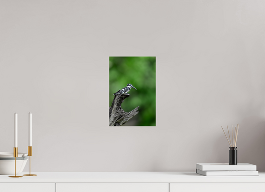 Flight Paused, Vision Shielded