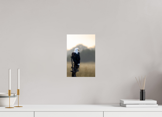 Feathers, Focus And Quiet Command