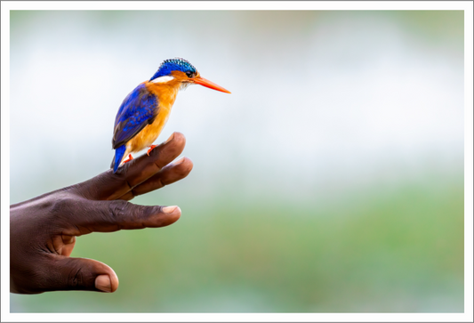 A Helping Hand