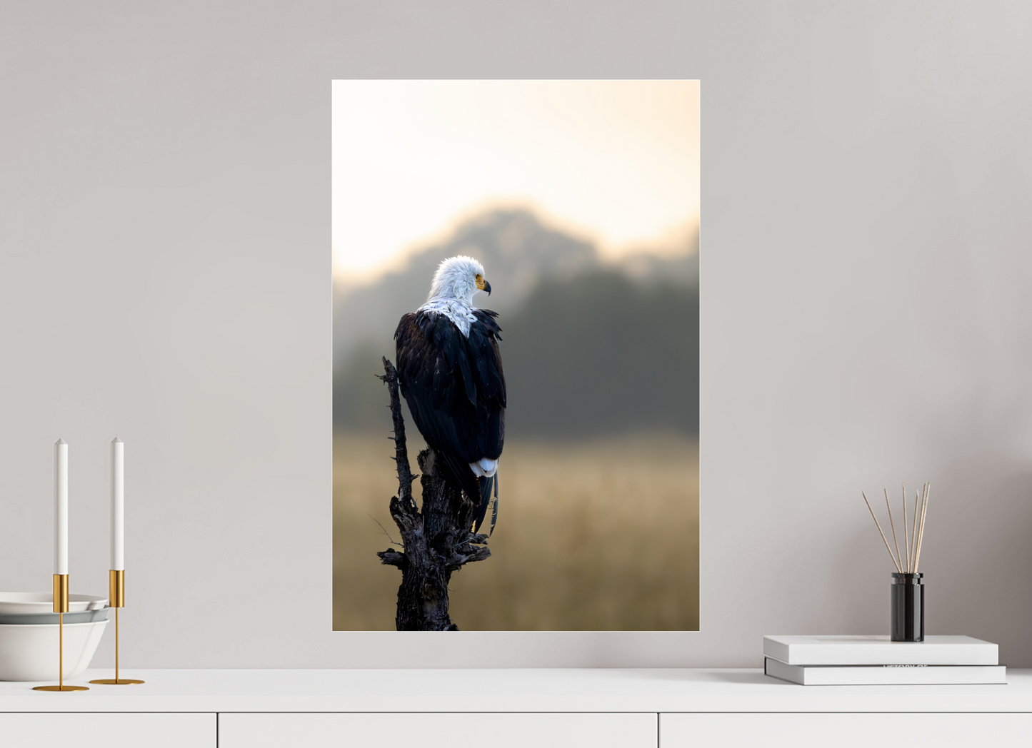 Feathers, Focus And Quiet Command
