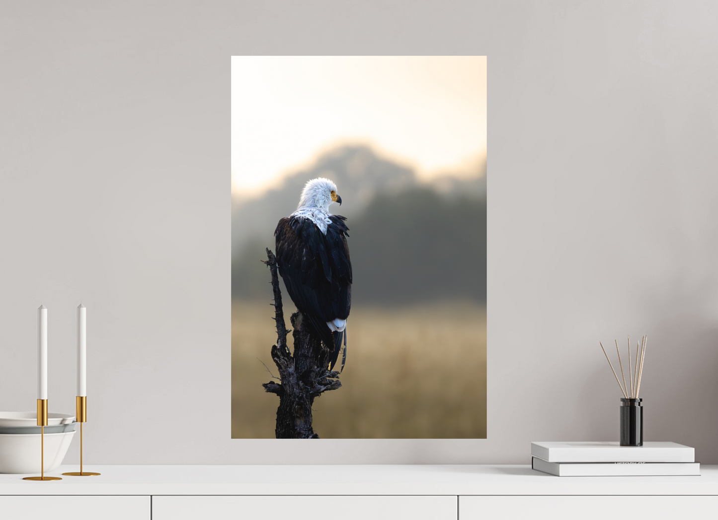 Feathers, Focus And Quiet Command