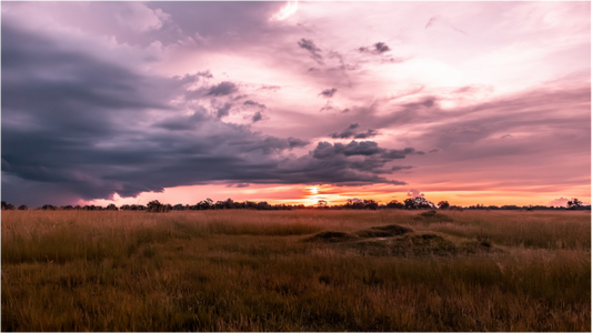 Okavango Sunset