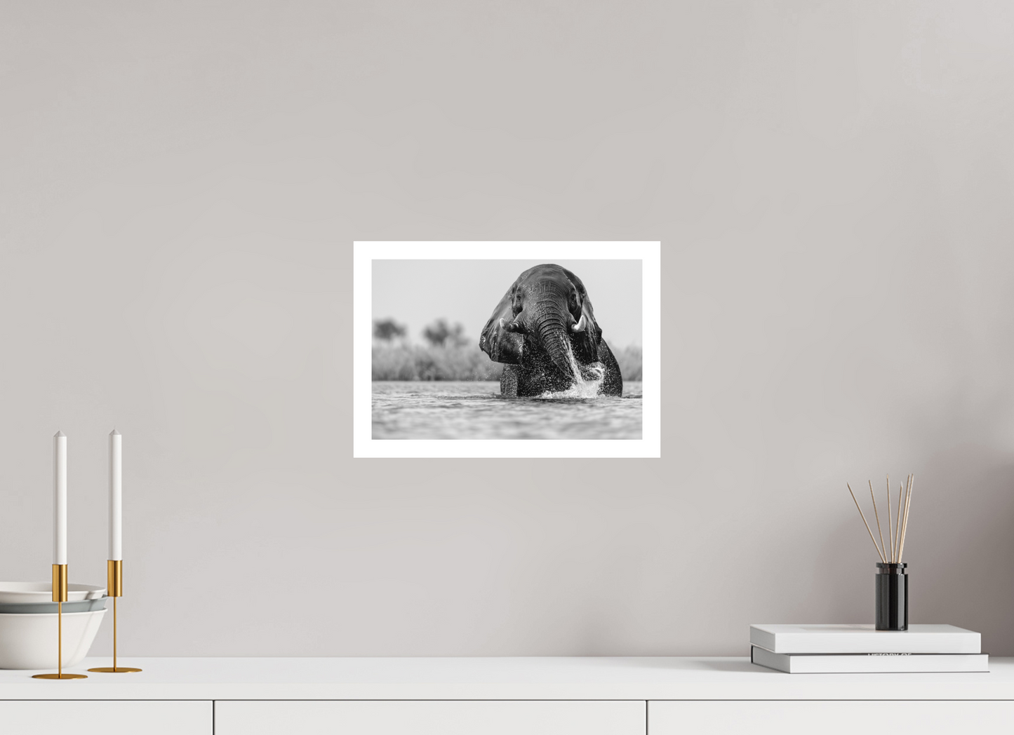 Giant Of The Chobe