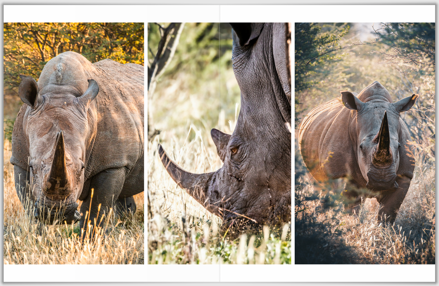 4712 Kilometer – A Photographic Journey Through Namibia