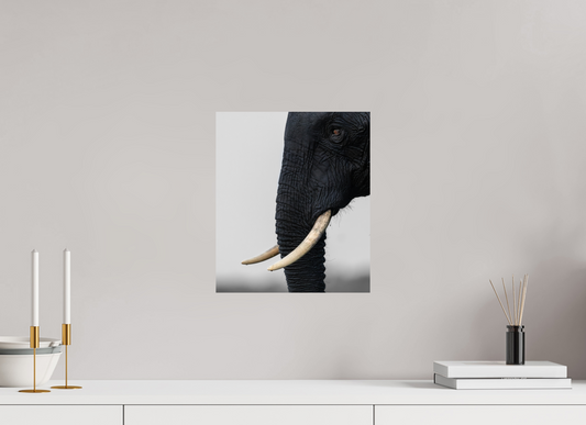 30 x 35,2 cm, Photo Print On Fuji Crystal DP II Eye Of An Elephant