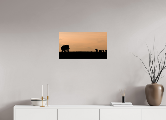 Silhouettes