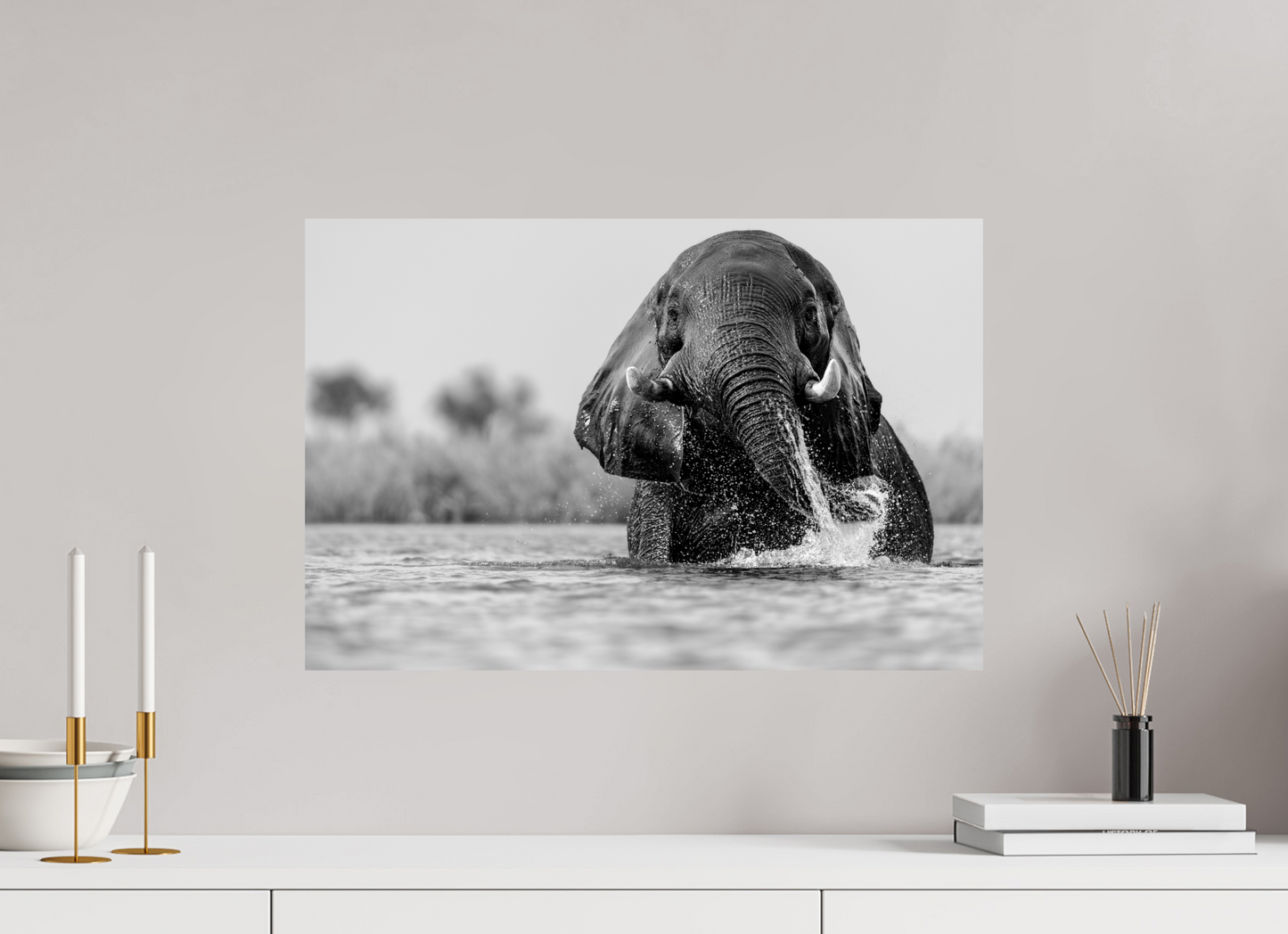 Giant Of The Chobe
