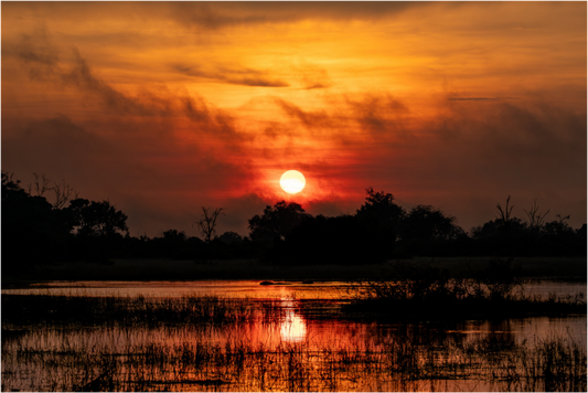 Okavango Sunrise